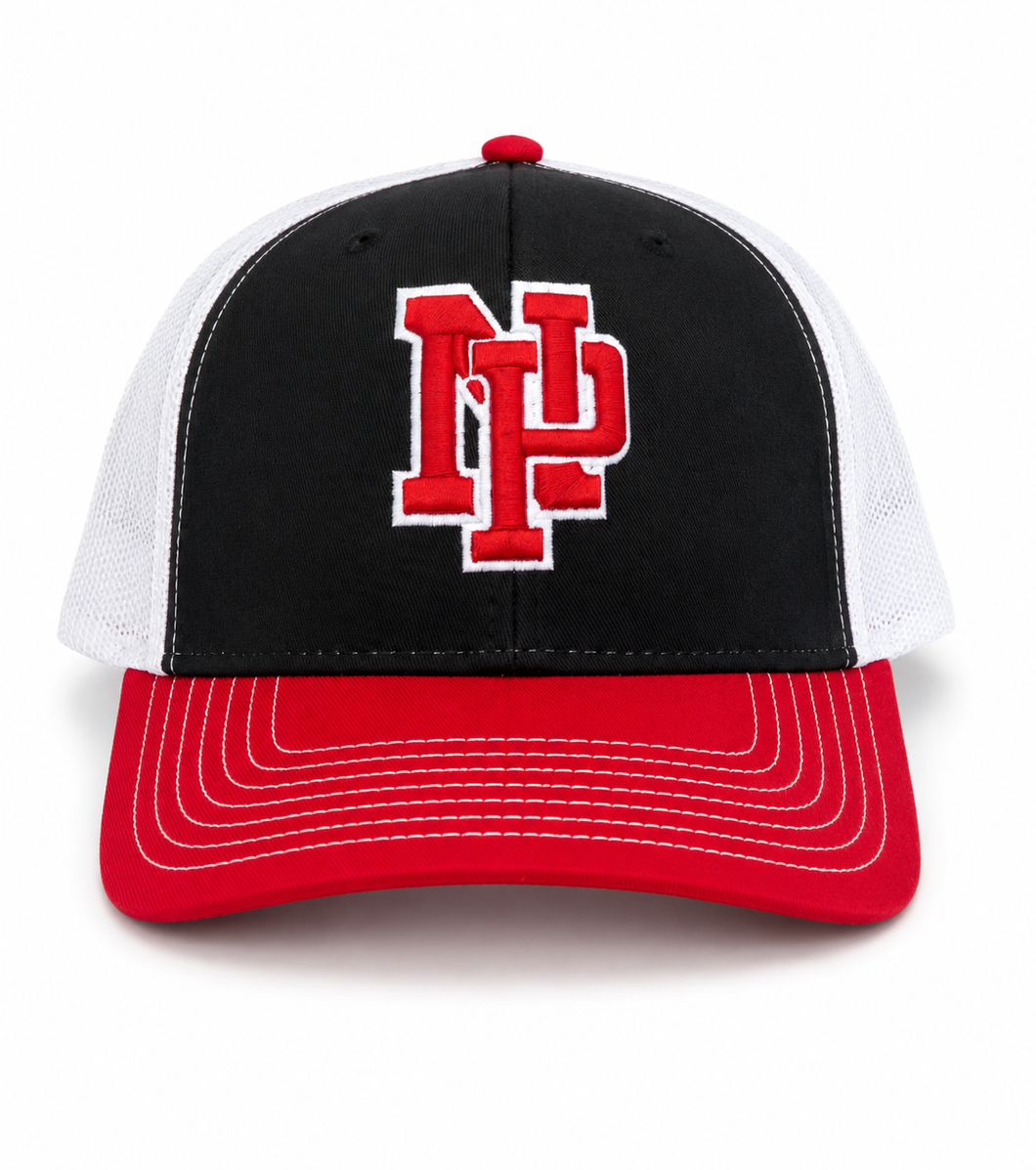 Dragons Snapback
