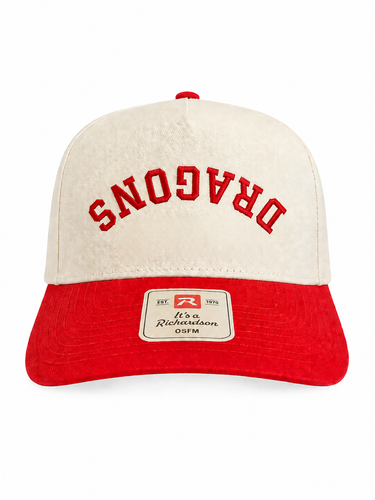 Dragons Snapback