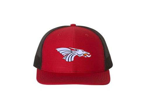 Dragons Adult Snapback